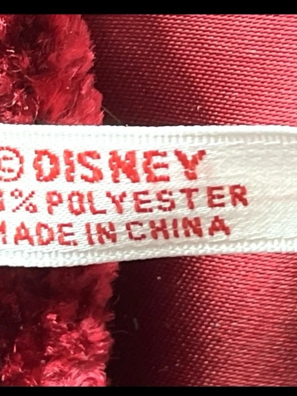 Disney rare parks